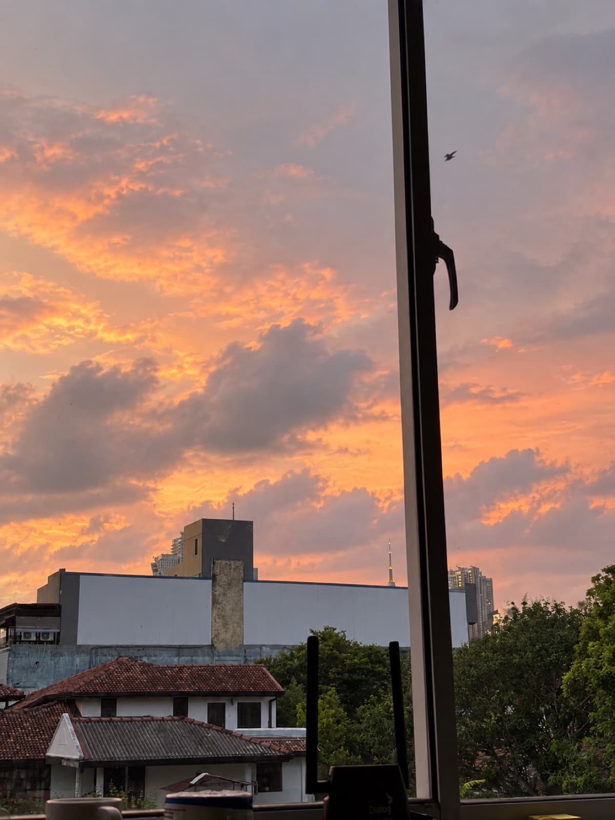 Evening sky through the office window